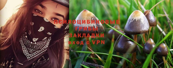 MESCALINE Баксан