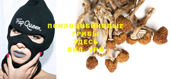 стаф Балабаново