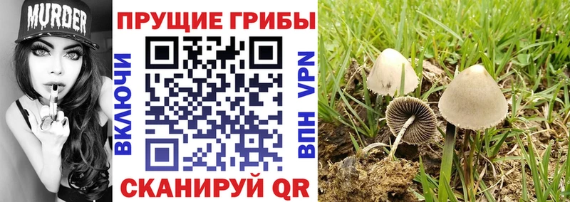 мега маркетплейс  Красноперекопск  Галлюциногенные грибы GOLDEN TEACHER 