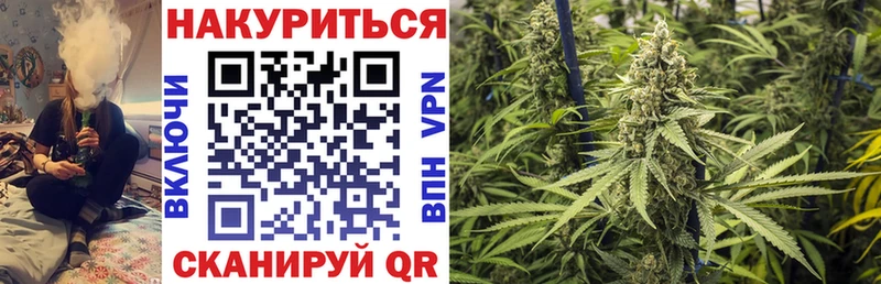OMG маркетплейс  Красноперекопск  Бошки марихуана THC 21% 